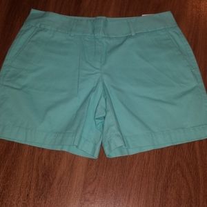 NWT Light blue/turquoise Loft shorts!